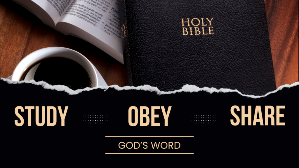 Study, Obey, Share God’s Word